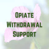 Herbal Decoction for Opiate Withdrawal Support