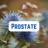 prostate health