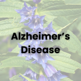 Alzheimer's disease