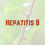 hepatitis b recipe