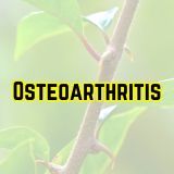 Osteoarthritis recipe