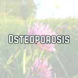 Osteoporosis recipes